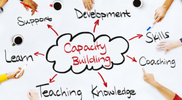 Capacity Building