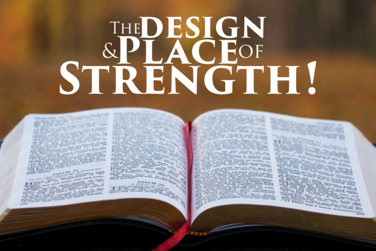 THE DESIGN AND PLACE OF STRENGTH