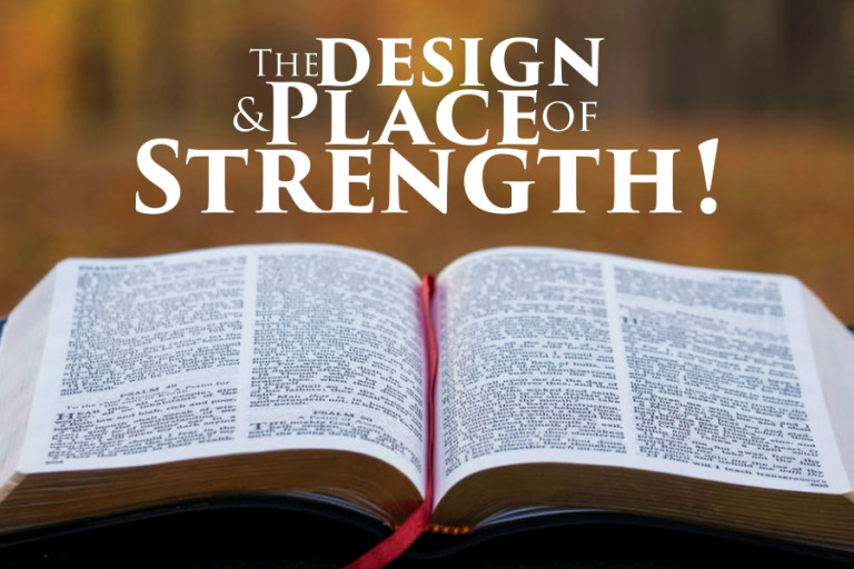 THE DESIGN AND PLACE OF STRENGTH